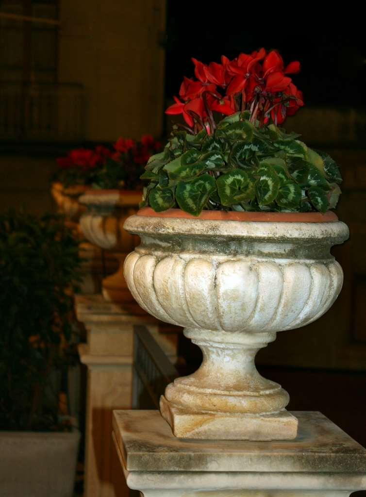 Cibele Hotel